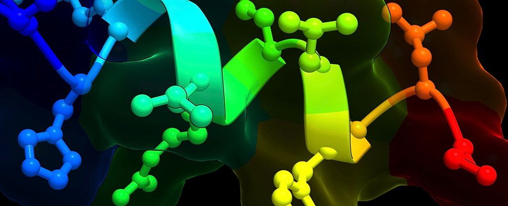 El nuevo descubrimiento de proteínas podría rivalizar con Ozempic con menos efectos secundarios: Sciencealert
